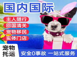 福州机场空运国际宠物托运 【国